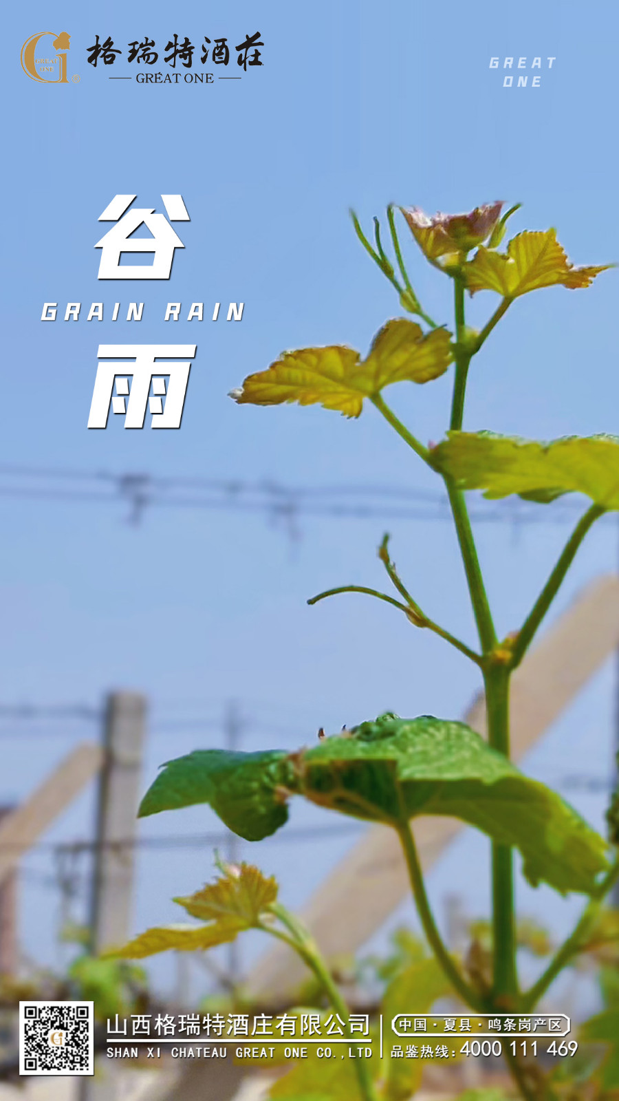 16821249509080.jpg 谷雨.JPG